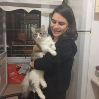 Gülşah Doğan的照片