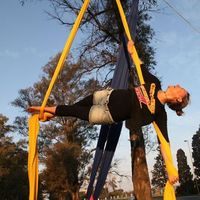 Carolina Armando的照片