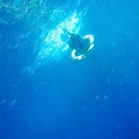 Mohamed Shams的照片