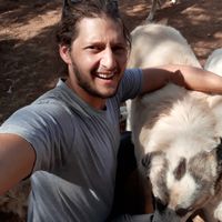 Fotos de Roni Kremer