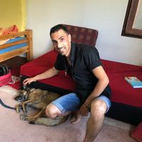 Kalim Alnour的照片