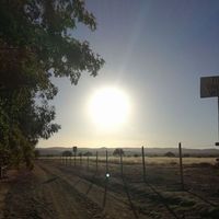 Fran Florista的照片