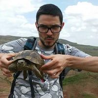 Le foto di Simas Dargi