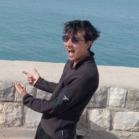 Ali Honarmand's Photo