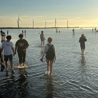 Minsol Bang的照片