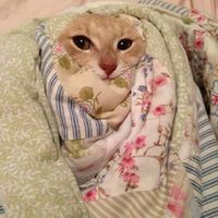 Kinga Ulviczki's Photo