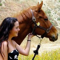 Hayley Sullivan's Photo