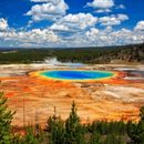 Yellow Stone and Grand Teton Trip's picture