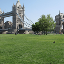 Bilder von Meet up and Picnic at Tower Bridge