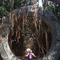 Fotos de Michael Vela