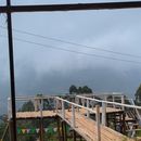 Chai, Chillum, Chapati With Us's picture