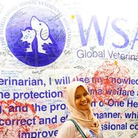 viska widyaastuti的照片