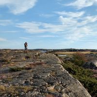 Rubèn Peralta的照片