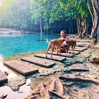 Gedlin Frelin的照片