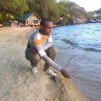 Michael Shear的照片