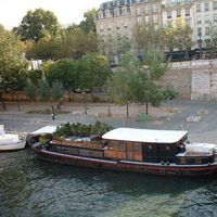 DAVID NOVICK's Photo