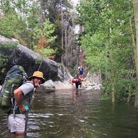 Photos de Sam Seifert