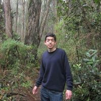 Renan Belaunde Samohod的照片