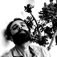 Angelo Monaigne的照片