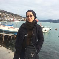 Fatemeh Rahimi的照片