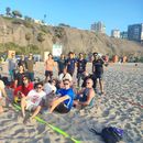 Último Voley Y Fiesta en la Playa- Domingo 23 Nov 's picture