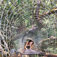 Vanessa de Oliveira Silva's Photo