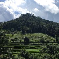 abdullah Ibrahim的照片