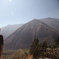 Brendan Chiswell's Photo