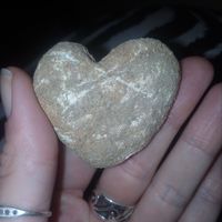 Camilla D amore's Photo