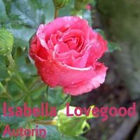 Ingrid Lechner's Photo