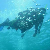 Daniel  Campos's Photo