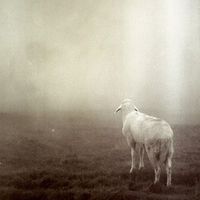 Anna Alexandro's Photo