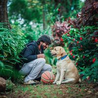 Ashish Godya's Photo