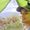 Ed Alriz's Photo