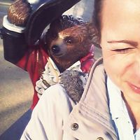 Monika Sznajder的照片