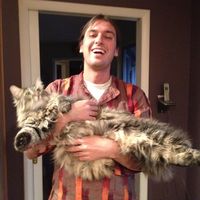 Fotos de Nick Calland