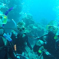 Matthew Lawrence's Photo