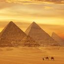 Road Trip To Cairo 's picture