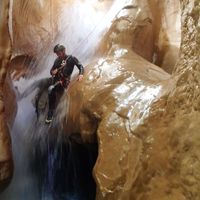 David Pérez的照片