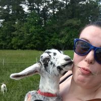 Photos de Sophie Koroloff