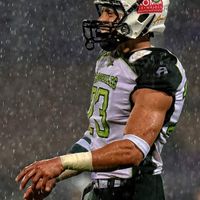 Niko Lester的照片