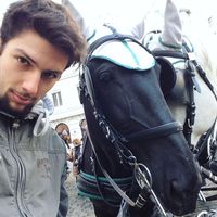 Fotos von Marco Ferhatović