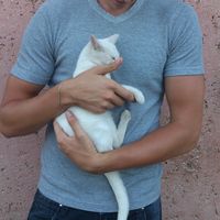 Petróczki Tamás's Photo