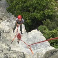 Photos de Catarina  Flore