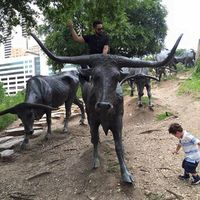 Agustin Gonzalez's Photo