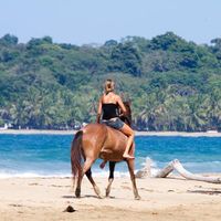 Le foto di Dana Norton