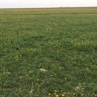 Hoosein Atighi的照片