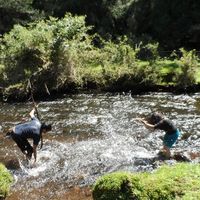 Fotos von Anna Karenina