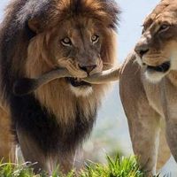 Agnieszka Matras's Photo