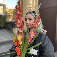 Maria Korol的照片